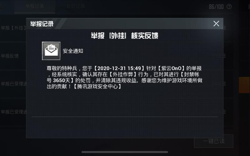 和平精英辅助【神女】